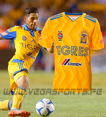 TIGRES 2019